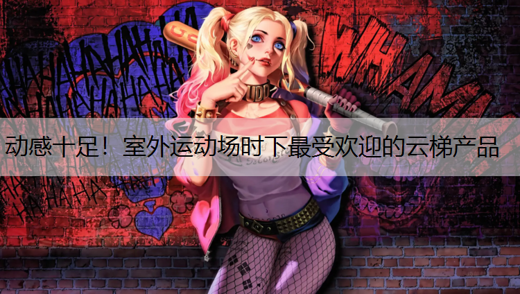 <strong>动感十足！室外运动场时下最受欢迎的云梯产品</strong>